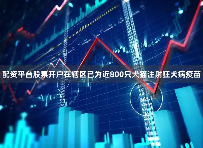 配资平台股票开户在辖区已为近800只犬猫注射狂犬病疫苗