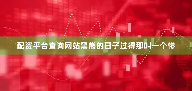 配资平台查询网站黑熊的日子过得那叫一个惨