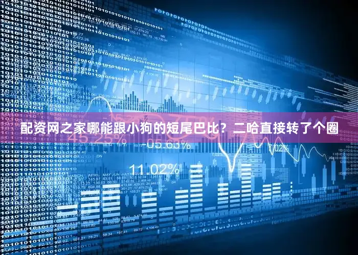 配资网之家哪能跟小狗的短尾巴比？二哈直接转了个圈