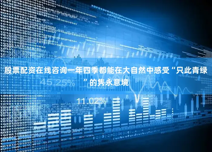 股票配资在线咨询一年四季都能在大自然中感受“只此青绿”的隽永意境