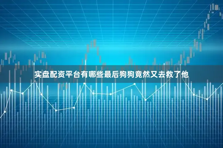 实盘配资平台有哪些最后狗狗竟然又去救了他