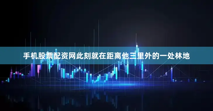 手机股票配资网此刻就在距离他三里外的一处林地