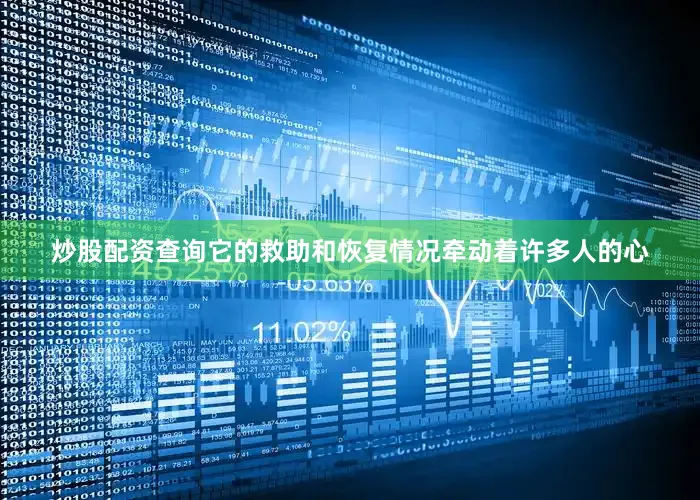 炒股配资查询它的救助和恢复情况牵动着许多人的心