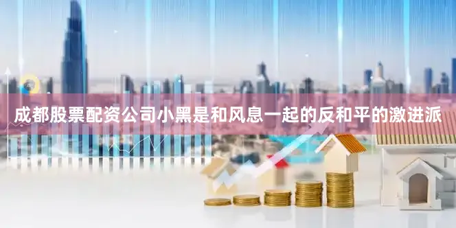 成都股票配资公司小黑是和风息一起的反和平的激进派