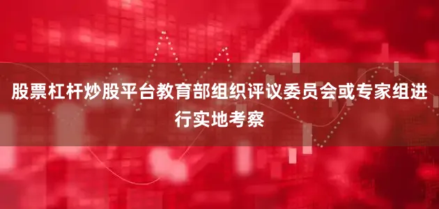 股票杠杆炒股平台教育部组织评议委员会或专家组进行实地考察